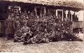 Ills Istvn 69-es bajtrsaival 1918-ban - II/5. szzad