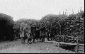 Egy romn ezredes ltogatsa - 1916.